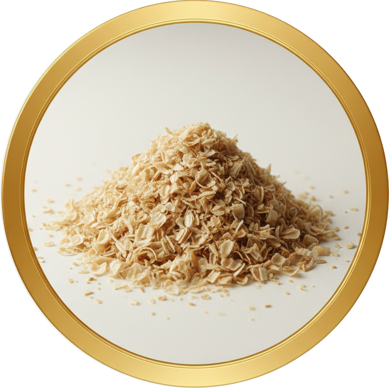 cropped circle image (8)