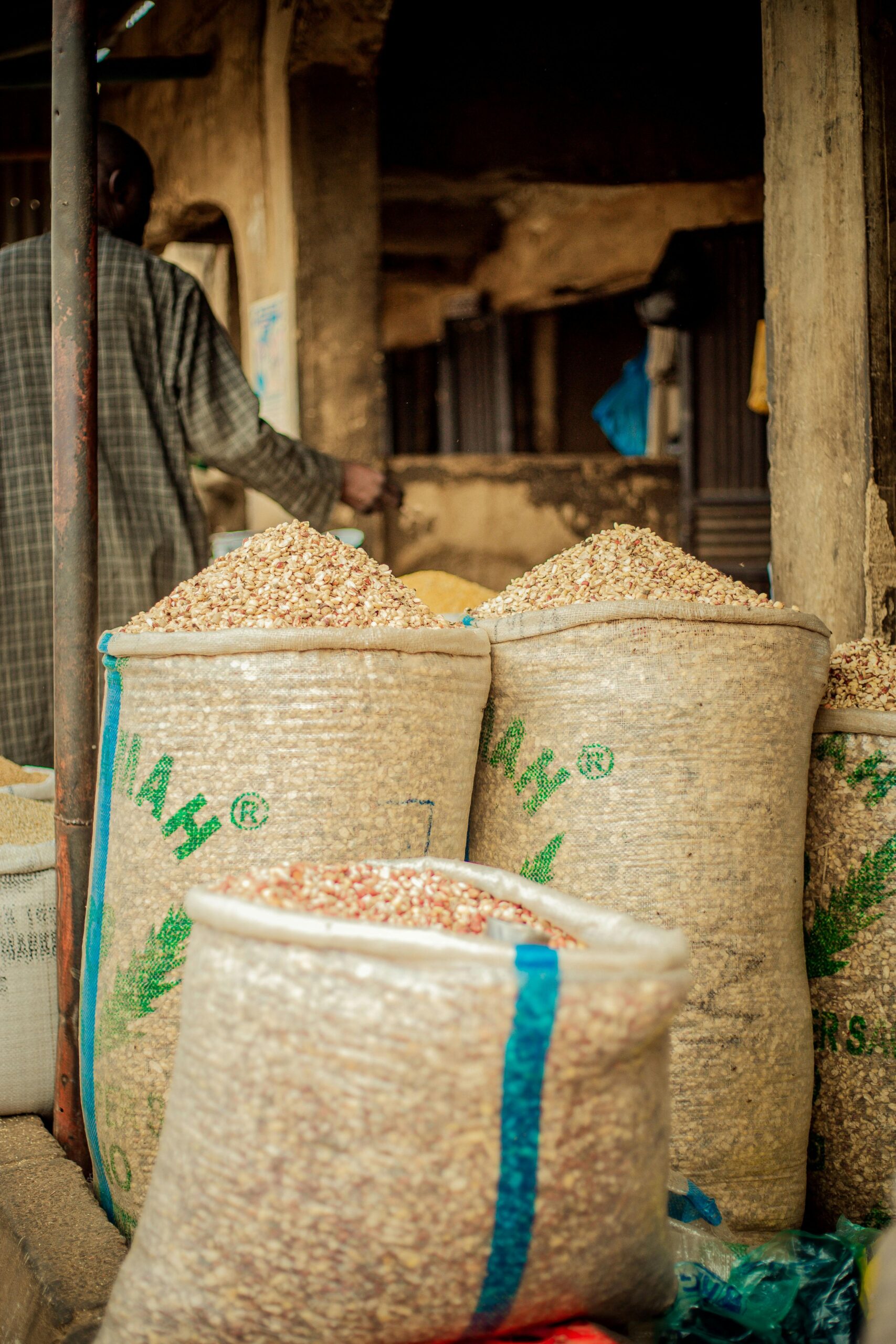 pexels soft work 1913651507 31113266